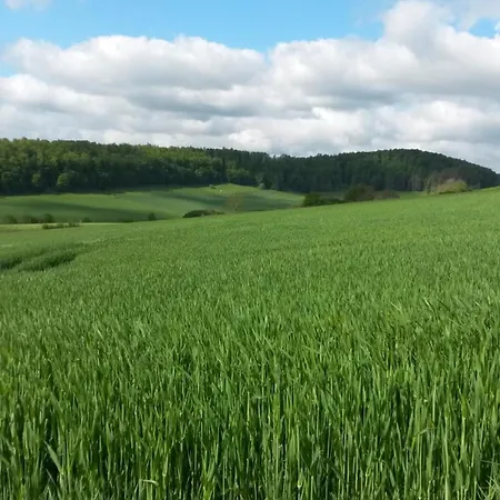 Ferienbauernhof * Lügde