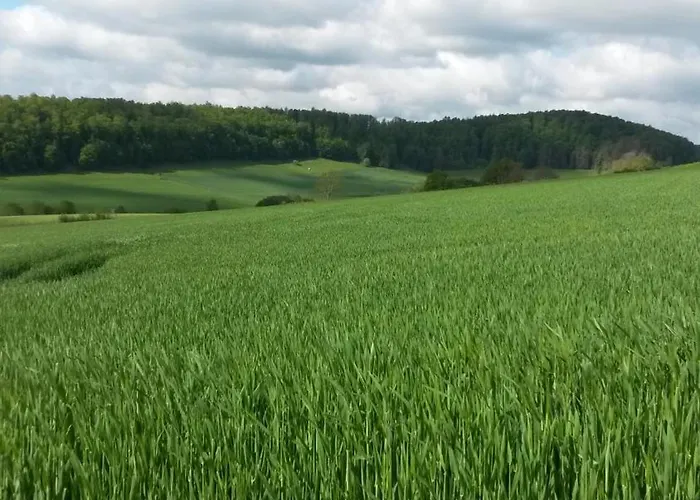 Ferienbauernhof * Lügde